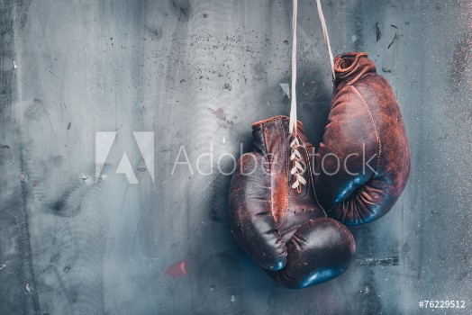 Picture of Old boxing gloves